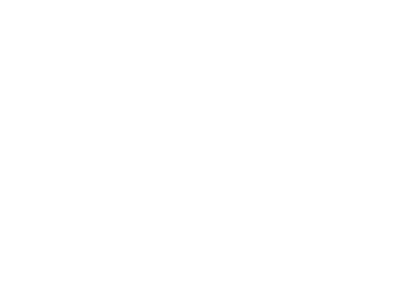 Bijan-white-logo